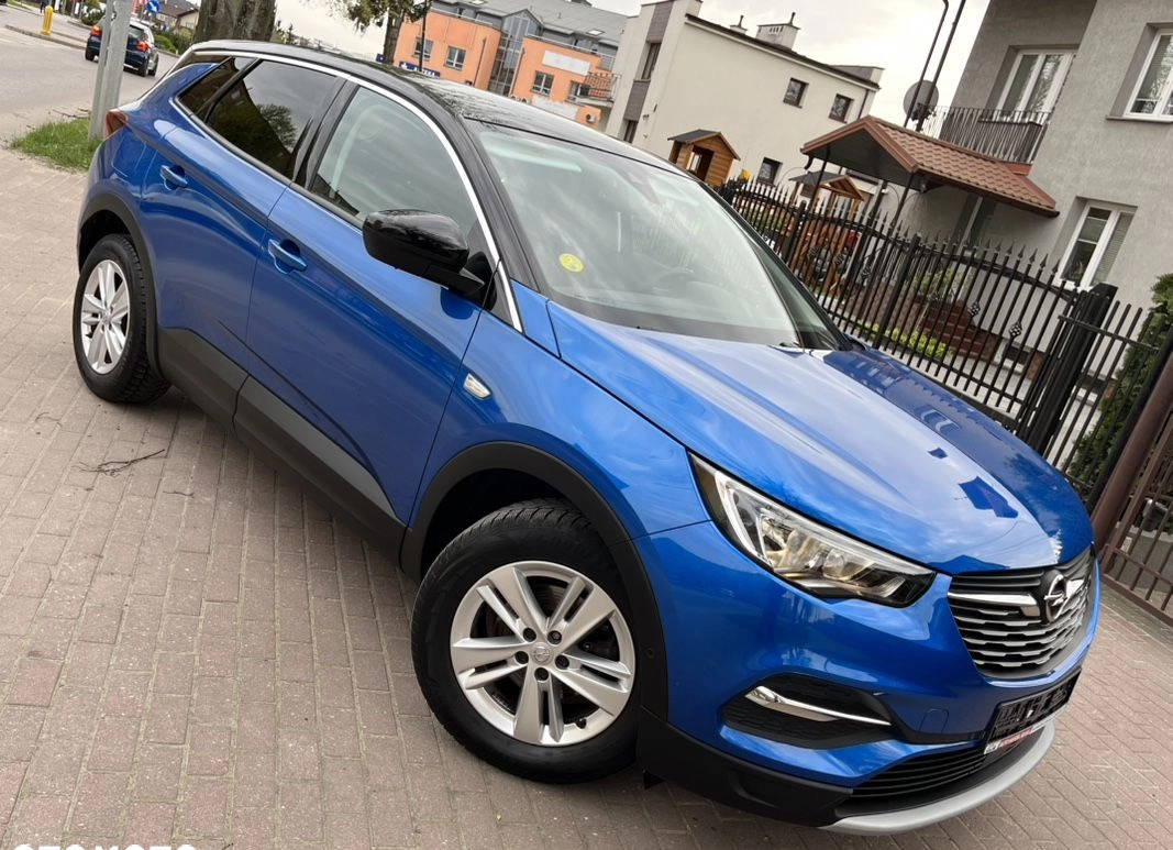 Opel Grandland X cena 61900 przebieg: 173555, rok produkcji 2018 z Działdowo małe 781